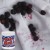 7eba7a8a0fcd1219ec4dfe2911ace980.jpg
